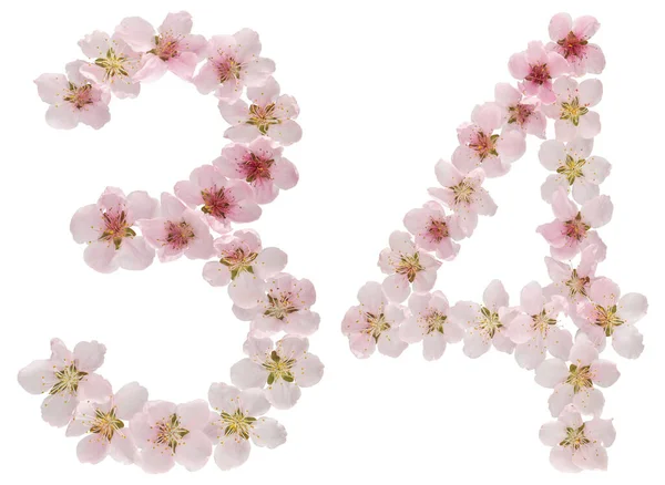 Numeral Treinta Cuatro Flores Rosadas Naturales Durazno Aisladas Sobre Fondo — Foto de Stock