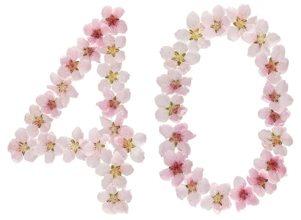 Numeral Forty Natural Pink Flowers Peach Tree Isolated White Background — Stock Photo, Image