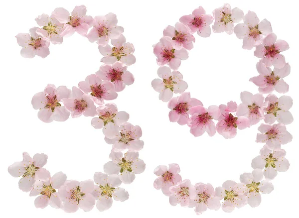Numeral Thirty Nine Natural Pink Flowers Peach Tree Isolated White — Stock Photo, Image