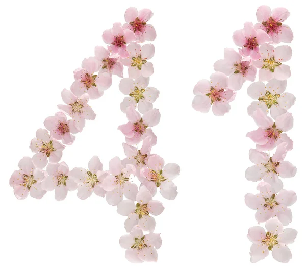 Nummer Eenenveertig Van Natuurlijke Roze Bloemen Van Perzikboom Geïsoleerd Witte — Stockfoto