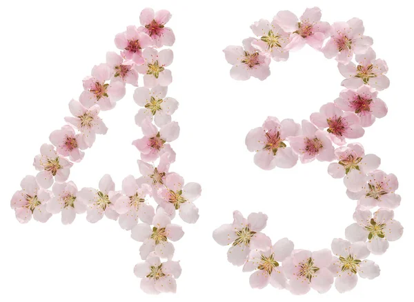Číslo Čtyřicet Tři Přírodních Růžových Květů Broskvoně Izolované Bílém Pozadí — Stock fotografie