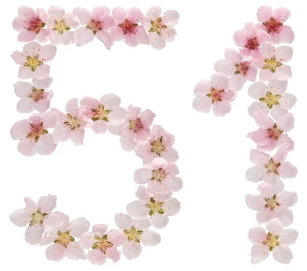 Ziffer Aus Naturrosa Blüten Des Pfirsichbaums Isoliert Auf Weißem Hintergrund — Stockfoto