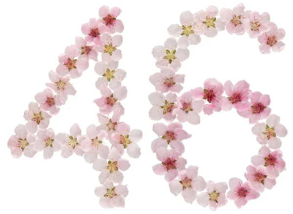 Numeral Forty Six Natural Pink Flowers Peach Tree Isolated White — Stock Photo, Image