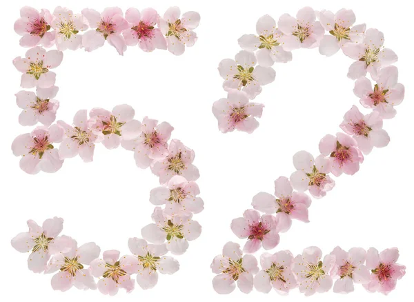Číslo Padesát Dva Přírodních Růžových Květů Broskvoně Izolované Bílém Pozadí — Stock fotografie