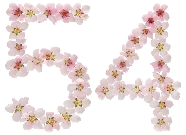 Numeral Fifty Four Natural Pink Flowers Peach Tree Isolated White — Stock Photo, Image