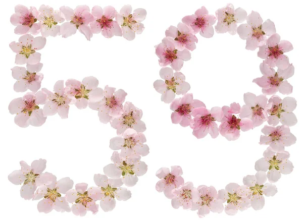 Číslice Padesát Devět Přírodních Růžových Květů Broskvoně Izolované Bílém Pozadí — Stock fotografie