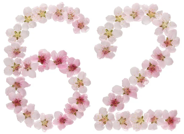 Číslo Šedesát Dva Přírodních Růžových Květů Broskvoně Izolované Bílém Pozadí — Stock fotografie