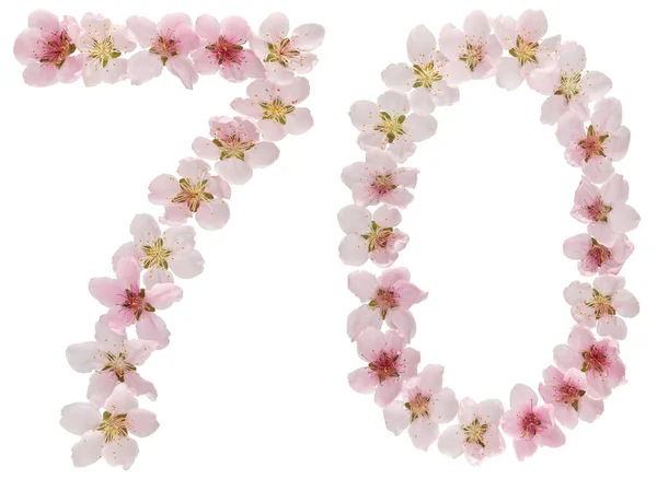 Число Сімдесят Натуральних Рожевих Квітів Персикового Дерева Ізольовані Білому Тлі — стокове фото