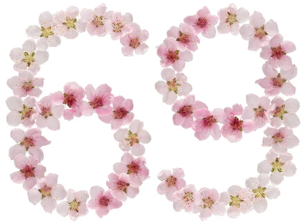 Numeral Sixty Nine Natural Pink Flowers Peach Tree Isolated White — Stock Photo, Image