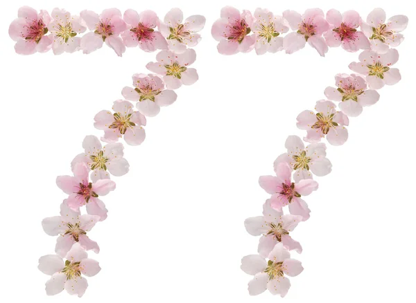 Zahl Siebenundsiebzig Aus Naturrosa Blüten Des Pfirsichbaums Isoliert Auf Weißem — Stockfoto
