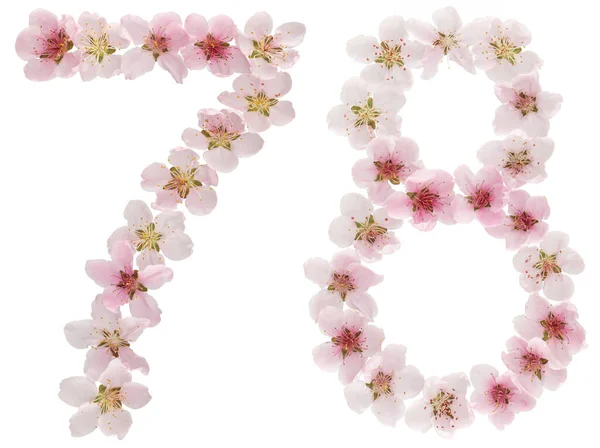 Число Сімдесят Вісім Натуральних Рожевих Квітів Персикового Дерева Ізольовані Білому — стокове фото