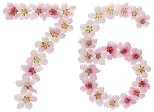 Номер Семьдесят Шесть Натуральных Розовых Цветов Персикового Дерева Изолированных Белом — стоковое фото
