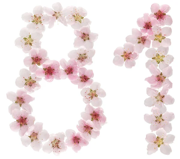 Номер Восемьдесят Один Натуральных Розовых Цветов Персикового Дерева Выделенных Белом — стоковое фото