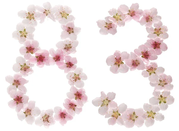 Číslo Osmdesát Tři Přírodních Růžových Květů Broskvoně Izolované Bílém Pozadí — Stock fotografie
