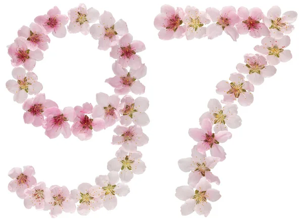 Nummer Zevenennegentig Van Natuurlijke Roze Bloemen Van Perzikboom Geïsoleerd Witte — Stockfoto