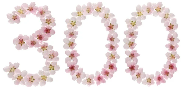 Числа 300 Триста Натуральных Розовых Цветков Персикового Дерева Изолированные Белом — стоковое фото