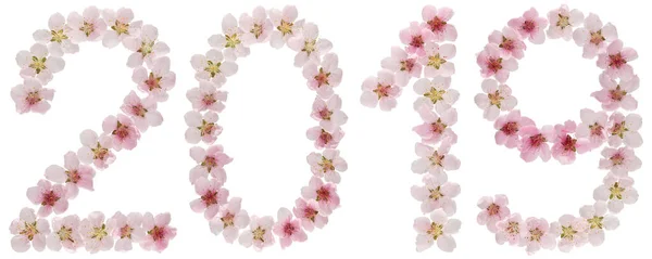 Inscrição 2019 Partir Flores Rosa Naturais Pessegueiro Isolado Fundo Branco — Fotografia de Stock