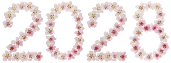 Inscriptie 2028 Van Natuurlijke Roze Bloemen Van Perzikboom Geïsoleerd Witte — Stockfoto