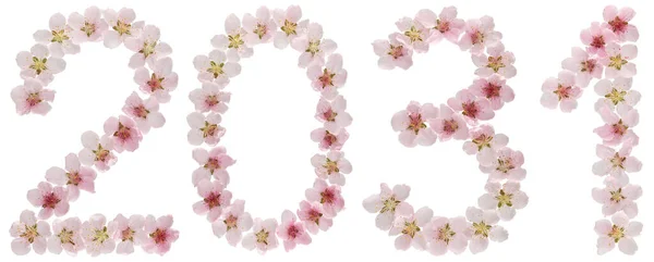 Надпись 2031 Натуральных Розовых Цветов Персикового Дерева Изолированные Белом Фоне — стоковое фото
