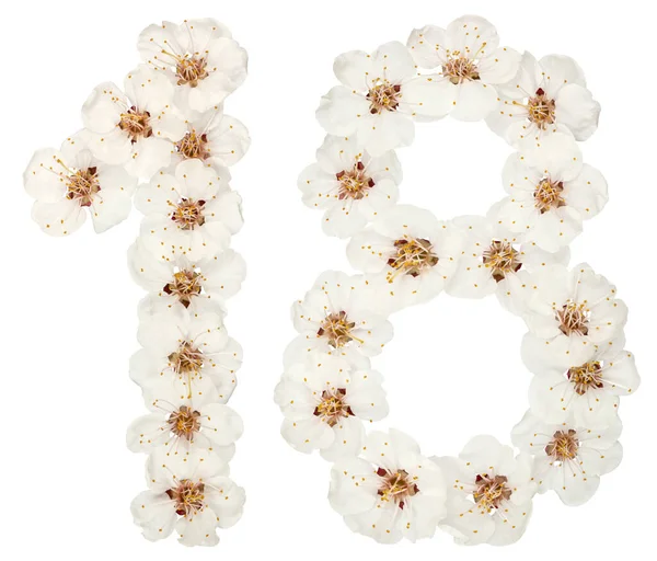 Число Вісімнадцять Натуральних Білих Квітів Абрикосового Дерева Ізольовані Білому Тлі — стокове фото