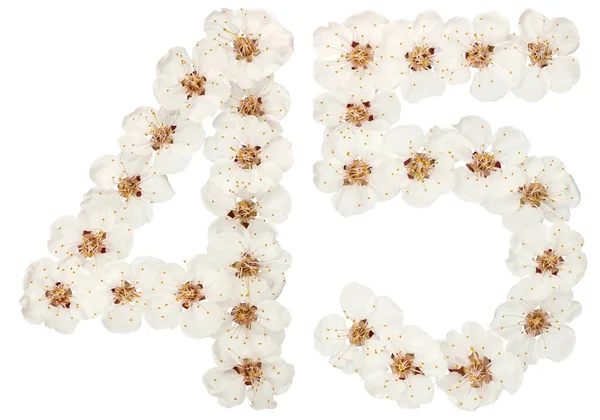Число Сорок Ять Натуральних Білих Квітів Абрикосового Дерева Ізольовані Білому — стокове фото