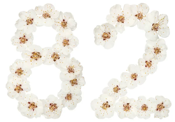 Число Вісімдесят Два Натуральних Білих Квітів Абрикосового Дерева Ізольовані Білому — стокове фото