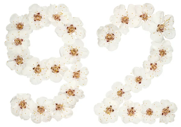 Число Дев Яносто Два Натуральних Білих Квітів Абрикосового Дерева Ізольовані — стокове фото
