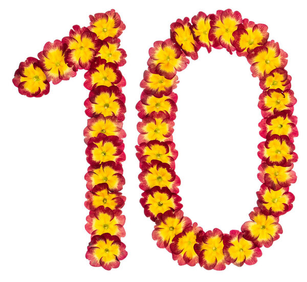 Numeral 10, ten, from natural flowers of primula, isolated on white background