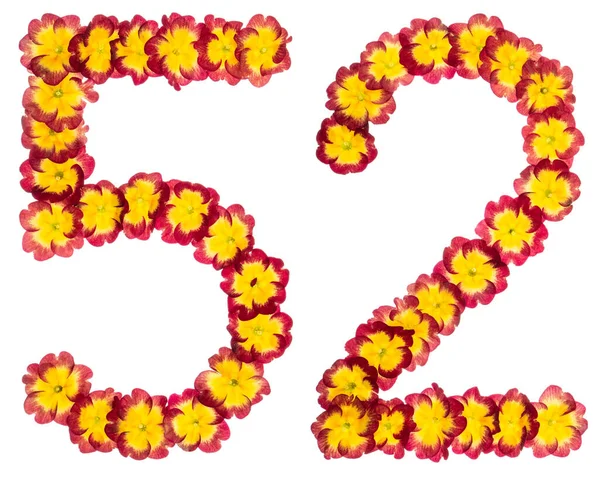 Число Ятдесят Два Природних Квітів Перламутру Ізольовані Білому Тлі — стокове фото
