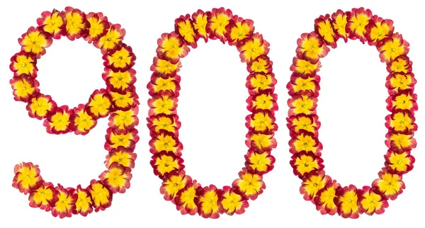 Numeral 900 Nio Hundra Frã Naturliga Blommor Primula Isolerade Vit — Stockfoto