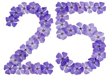 25, 25 numara, menekşe rengi doğal mavi çiçeklerden, beyaz arka planda izole edilmiş.