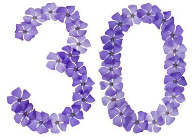 30, 30 numara, menekşe rengi doğal mavi çiçeklerden, beyaz arka planda izole edilmiş.