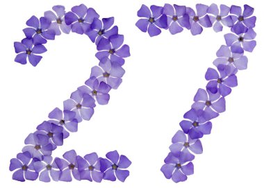 27 numara, 27 numara, menekşe renginin doğal mavi çiçeklerinden, beyaz arka planda izole edilmiş.