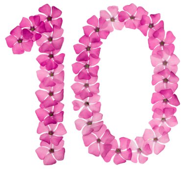 10 numara, 10 numara, menekşe rengi doğal pembe çiçeklerden, beyaz arka planda izole edilmiş.