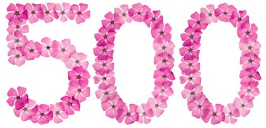 Numeral 500, five hundred, from natural pink flowers of periwinkle, isolated on white background clipart