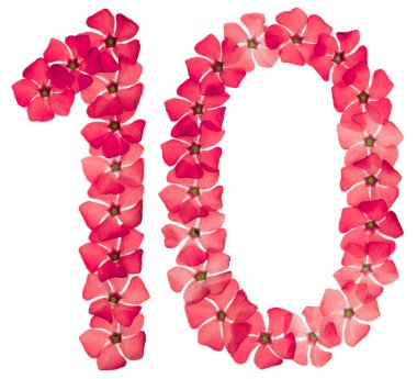 10 numara, 10 numara, menekşe renginin doğal kırmızı çiçeklerinden, beyaz arka planda izole edilmiş.