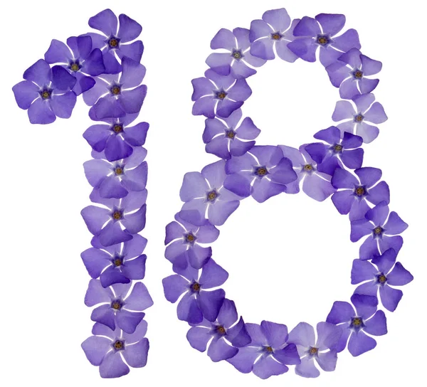 Numeral Arton Från Naturliga Blå Blommor Periwinkle Isolerad Vit Bakgrund — Stockfoto