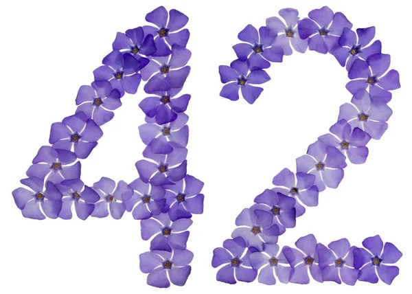 Ziffer Zweiundvierzig Aus Natürlichen Blauen Blüten Von Perlmutt Isoliert Auf — Stockfoto