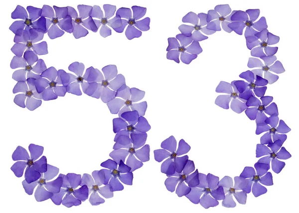 Číslo Padesát Tři Přírodních Modrých Květů Okvětního Plátku Izolované Bílém — Stock fotografie