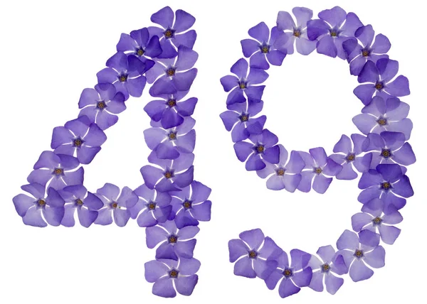 Numerieke Negenenveertig Van Natuurlijke Blauwe Bloemen Van Periwinkle Geïsoleerd Witte — Stockfoto