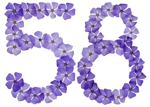 Ziffer Achtundfünfzig Aus Natürlichen Blauen Blüten Von Perlmutt Isoliert Auf — Stockfoto
