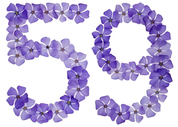 Číslice Padesát Devět Přírodních Modrých Květů Perníku Izolované Bílém Pozadí — Stock fotografie