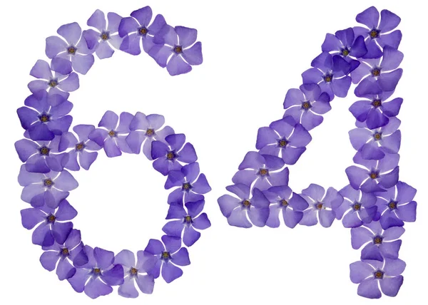 Numeral Sixty Four Natural Blue Flowers Periwinkle Isolated White Background — Stock Photo, Image