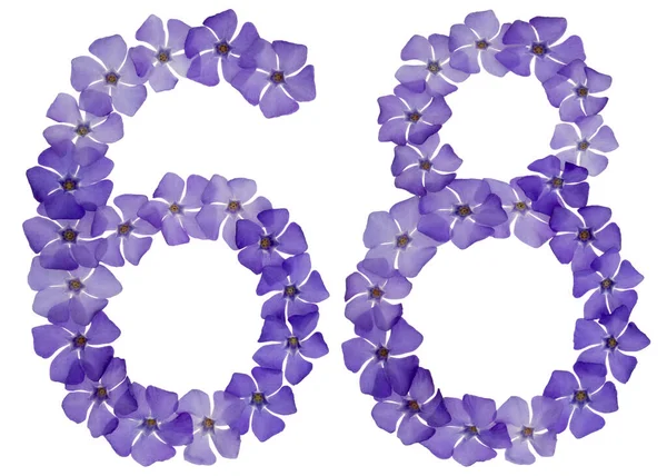 Ziffer Achtundsechzig Aus Natürlichen Blauen Blüten Von Perlmutt Isoliert Auf — Stockfoto