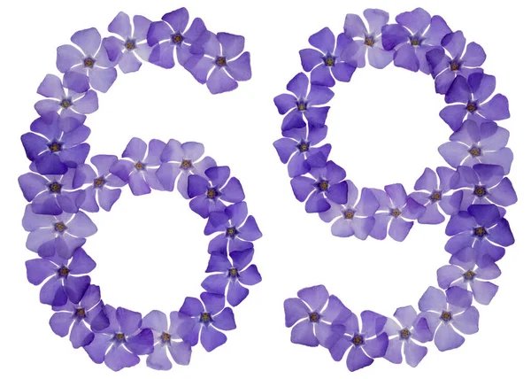 Číslice Šedesát Devět Přírodních Modrých Květů Perníku Izolované Bílém Pozadí — Stock fotografie