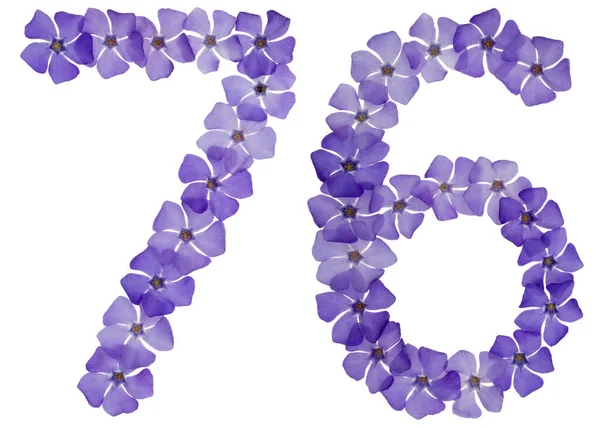 Число Сімдесят Шість Натуральних Синіх Квітів Опуклості Ізольовані Білому Тлі — стокове фото