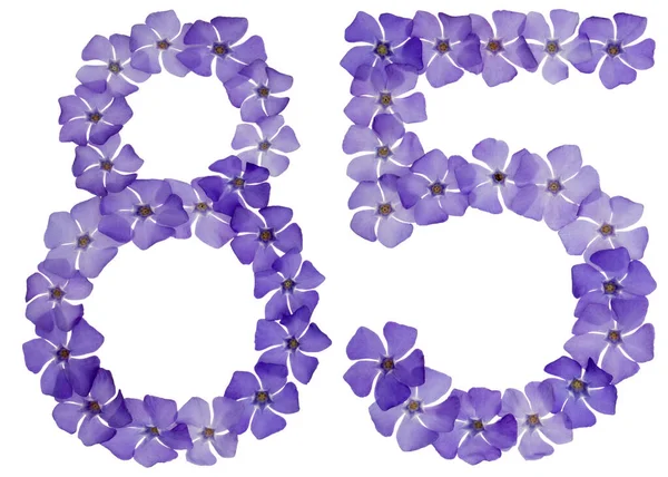 Numeral Åttiofem Från Naturliga Blå Blommor Periwinkle Isolerad Vit Bakgrund — Stockfoto