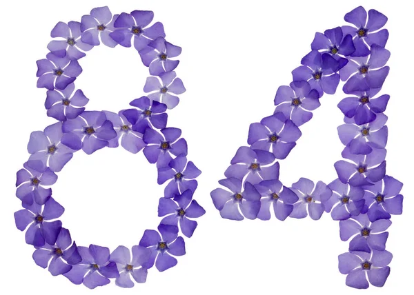 Numeral Eighty Four Natural Blue Flowers Periwinkle Isolated White Background — Stock Photo, Image