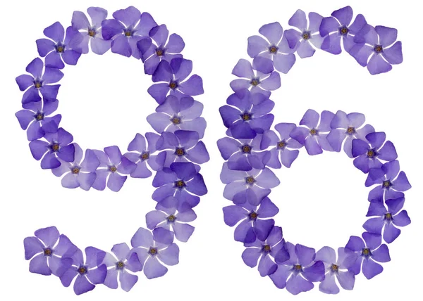 Číslo Devadesát Šest Přírodních Modrých Květů Okvětního Plátku Izolované Bílém — Stock fotografie