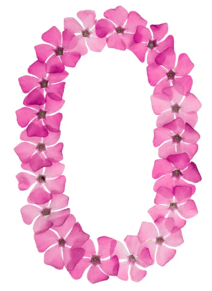 Numeral Zero Natural Pink Flowers Periwinkle Isolated White Background — Stock Photo, Image